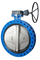 Factory Directly Supply Cast Iron Marine Wafer Type Butterfly Valve