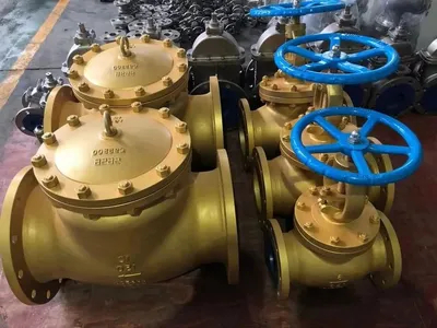 Marine Bronze Flanged Globe Valve with API Standard for Sale