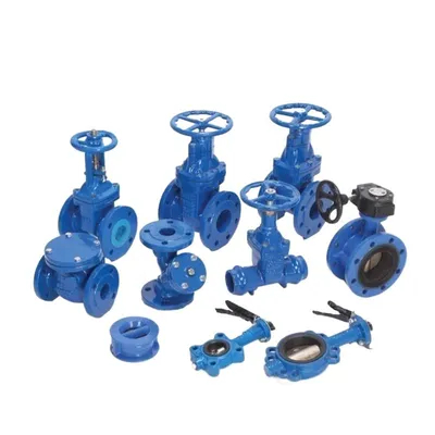 Marine ANSI Class 125 Flanged Cast Iron Globe Valve with Price