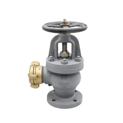 Marine Check Gate Swing Lift JIS F7333/7334 Flanged Cast Iron 5K 10K Hose Globe Angle Valves