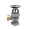 Marine Check Gate Swing Lift JIS F7333/7334 Flanged Cast Iron 5K 10K Hose Globe Angle Valves