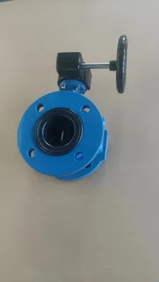 Marine Butterfly Valve Soft-Sealed Awwa C504 Double Flange with Price