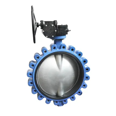 OEM Cast-Iron Stainless-Steel Seat Water Lug Type Double Flange Butterfly Valve