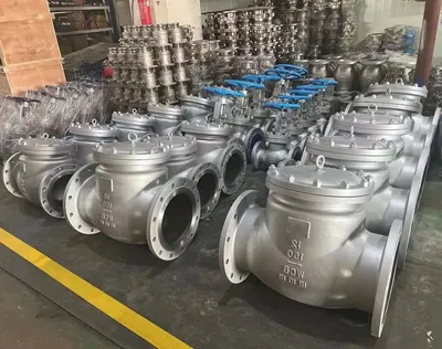 API6d BS1868 Swing Check Valve Flanged Steel Wcb for Sale