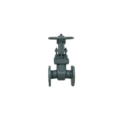 Marine Stainless Steel Gate Globe Check Valve Water Industrial Usage