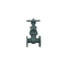 Marine Stainless Steel Gate Globe Check Valve Water Industrial Usage