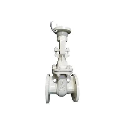 Marine Stainless Steel Forged Gate Globe Check Valve
