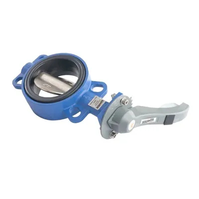 Marine Wholesale Price Custom Cast Iron Wafer Lug Butterfly Valves