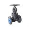 Cast Steel Globe Valve