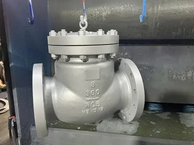 Flanged Check Valves for Oil Pipeline Valves API 900lb High Pressure Stainless Steel Swing Valve