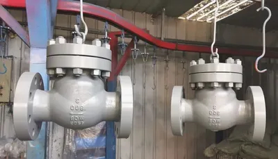 150lb 300lb L00lb 900lb 1500lb API6d Standard Check Valves for Oil Pipeline Valves