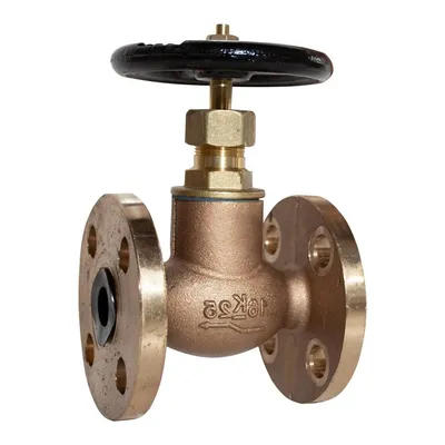 Manufacturer Marine DIN Bronze/Cast Steel Marine Flanged Check Globe Valve