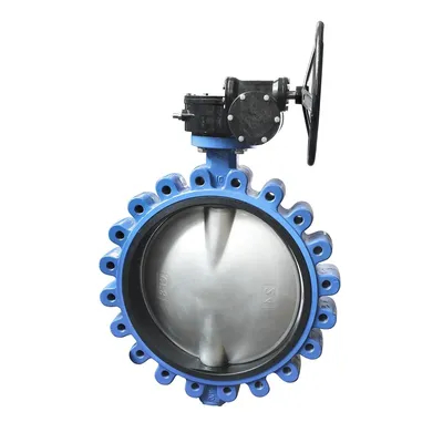Wholesale Cast-Iron Stainless-Steel Seat Water Lug Type Double Flange Butterfly Valve