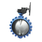 Wholesale Cast-Iron Stainless-Steel Seat Water Lug Type Double Flange Butterfly Valve