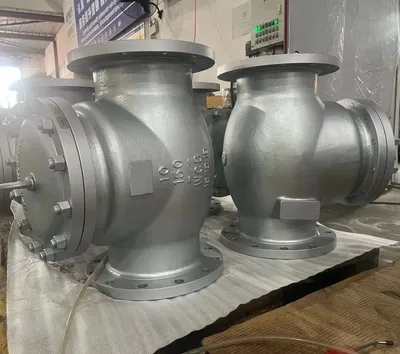 Marine BS1868 Swing Check Valve Flanged Steel Wcb for Sale