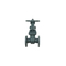Industrial Usage Marine Check Globe Valve