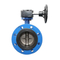 Factory Direct Sale DN 300mm Valve Lug Type Aluminum Bronze Plate Butterfly Valve for Sale