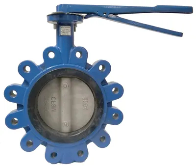 Cast Iron Marine Wafer Type Butterfly Valve for Sale