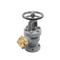 Marine Check Gate Flanged Casting Bronze Cast Iron 5K 10K Globe Angle Valves