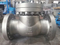 Marine API6d Standard Check Valves for Oil Pipeline Valves