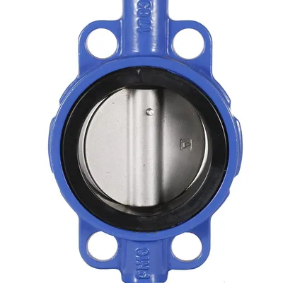 ANSI API CF8 Di Ci EPDM PTFE Strong Acid Iron Lever Opreated Wafer Lug Butterfly Valve for Sale