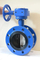 Marine Butterfly Valve Soft-Sealed Awwa C504 Double Flange for Sale