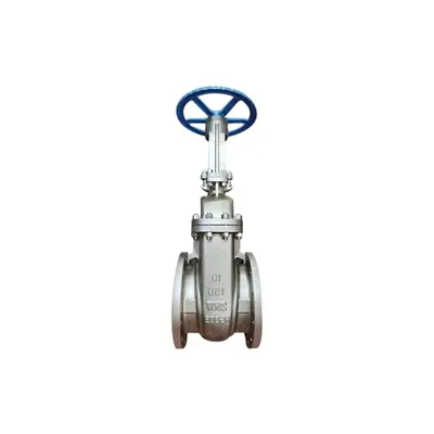 Stainless Steel Gate Globe Check Valve for Sale