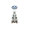 Stainless Steel Gate Globe Check Valve for Sale