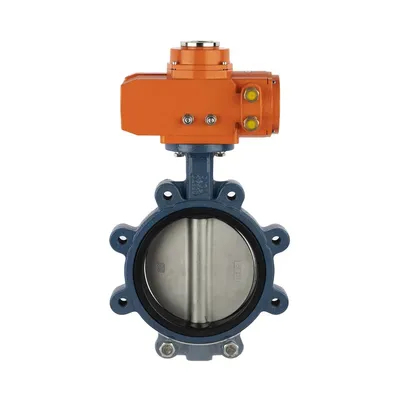 Factory Direct Sale Cast-Iron Stainless-Steel Rubber Seat Water Lug Type Double Flange Butterfly Valve