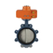 Factory Direct Sale Cast-Iron Stainless-Steel Rubber Seat Water Lug Type Double Flange Butterfly Valve