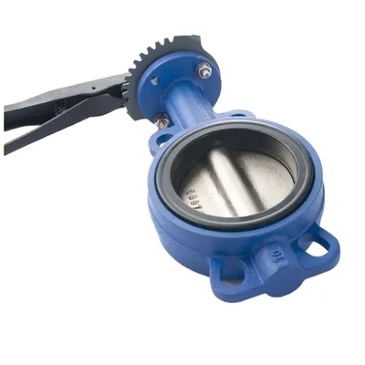 Hot Sale Marine Cast Iron Wafer Lug Butterfly Valves