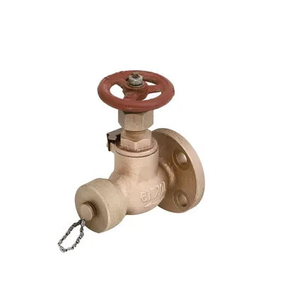 Best Quality Marine Check Gate Swing Lift JIS F7333/7334 Flanged Casting Bronze Cast Iron 5K 10K Globe Angle Valves