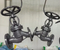 Manual Operated Cast Steel Wcb Stainless Steel Seal Globe Valve