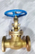 Bronze Globe Valve with API Standard
