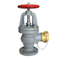 Marine Check Gate Swing Lift JIS F7333/7334 Flanged Casting Bronze Cast Iron 5K 10K Hose Globe Angle Valves